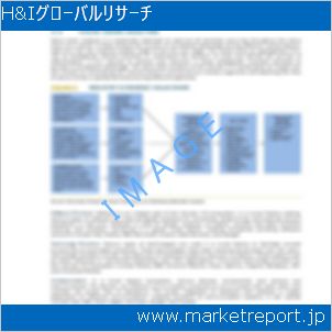 市場と産業調査レポートのイメージ